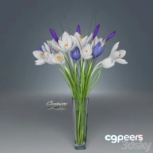 3ds Max Free – Сrocus flowers in bouquet