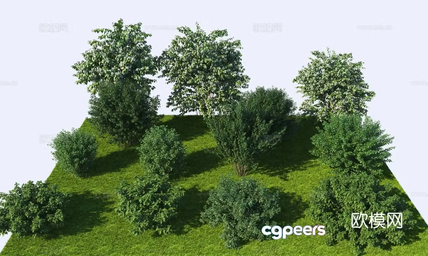 Shrub collection High precision shrubs shrub combination 3d model