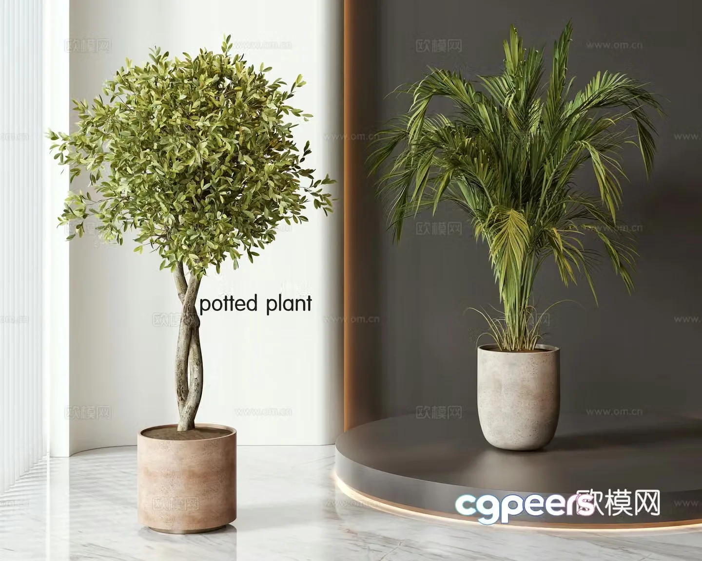 Modern potted bonsai green plant combination 3D model