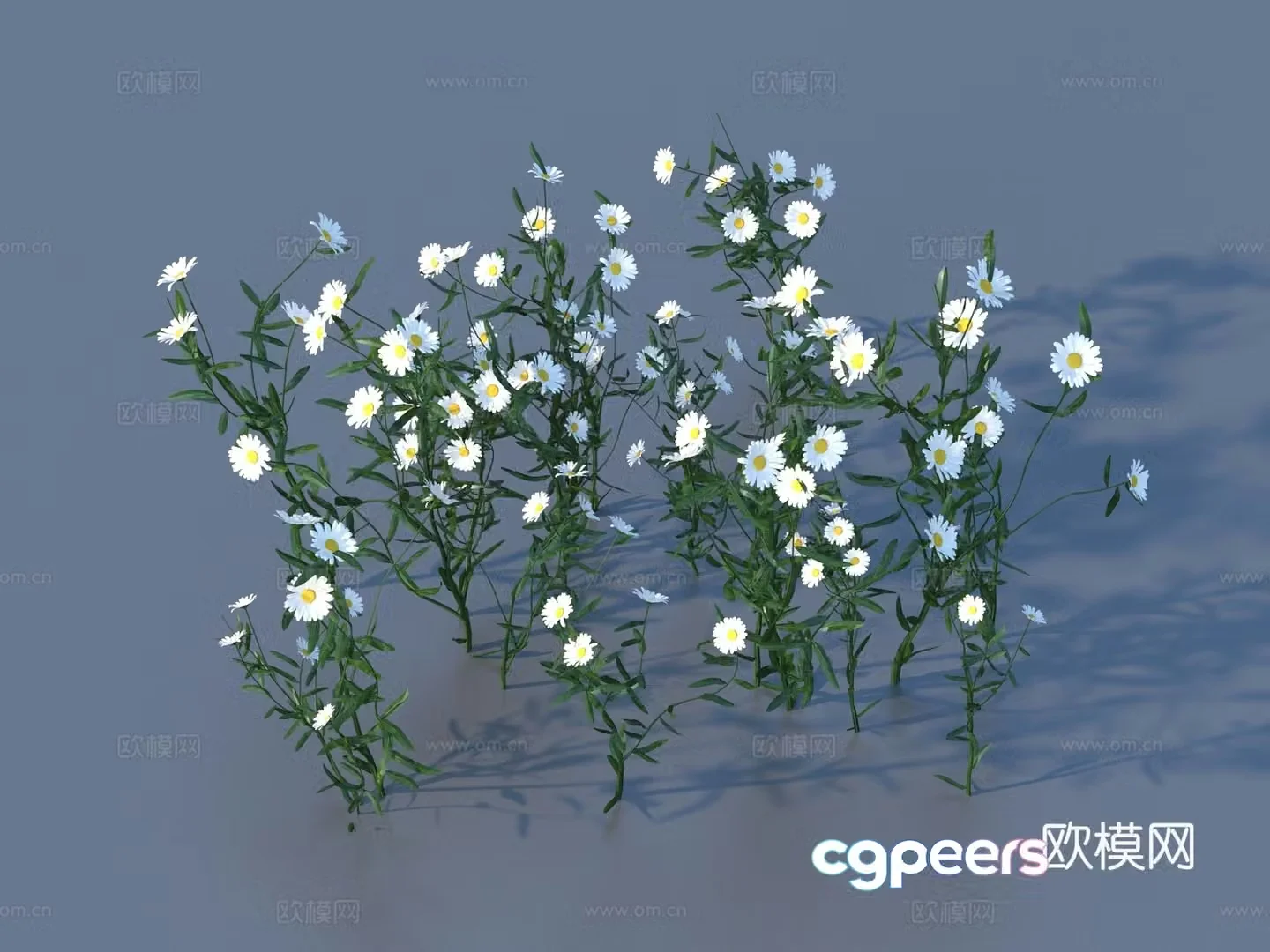 Flowers Wild Flowers Green Plants Flowers 3D Model
