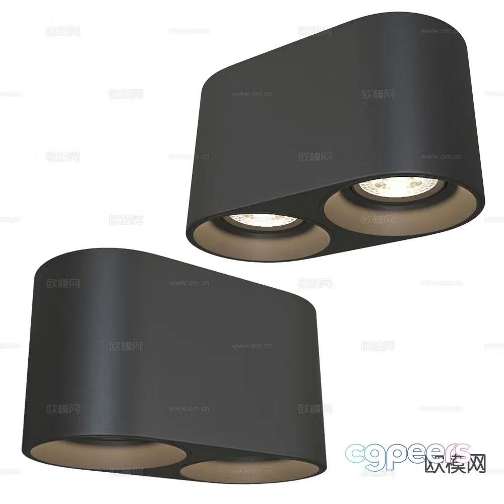 DENKIRS double row downlight spotlight 3d model