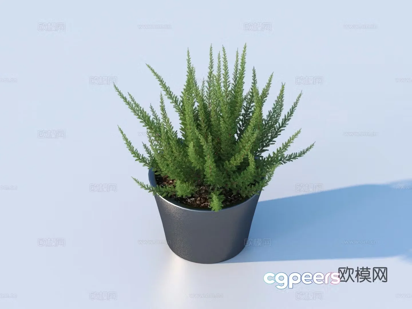 bonsai flowerpot green plant plant 3d model