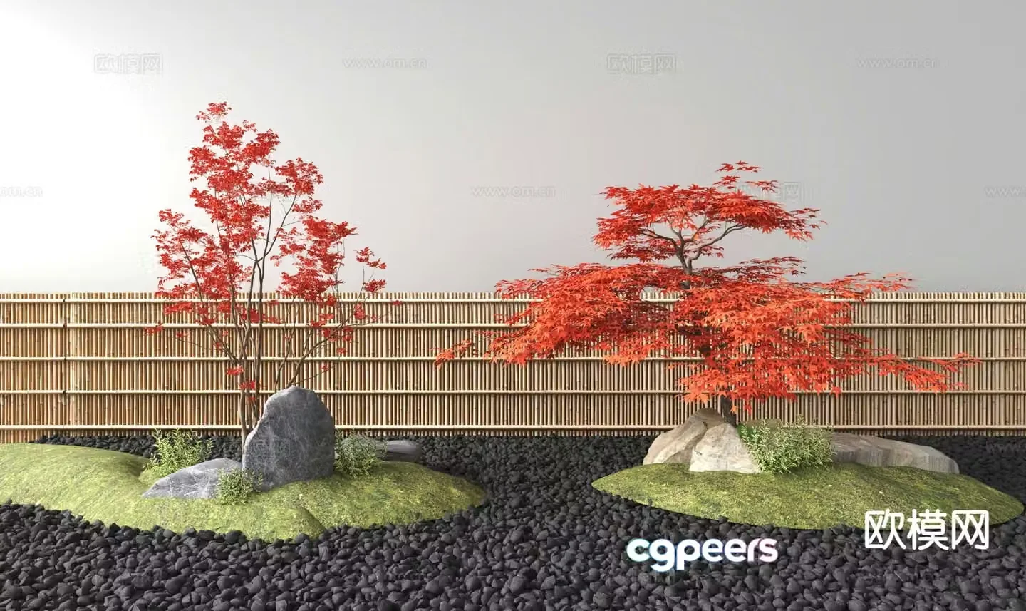Japanese red maple landscape 3D model
