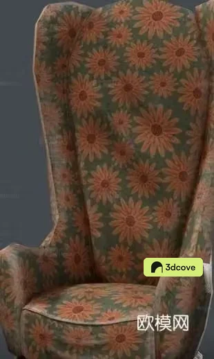 chair leisure chair