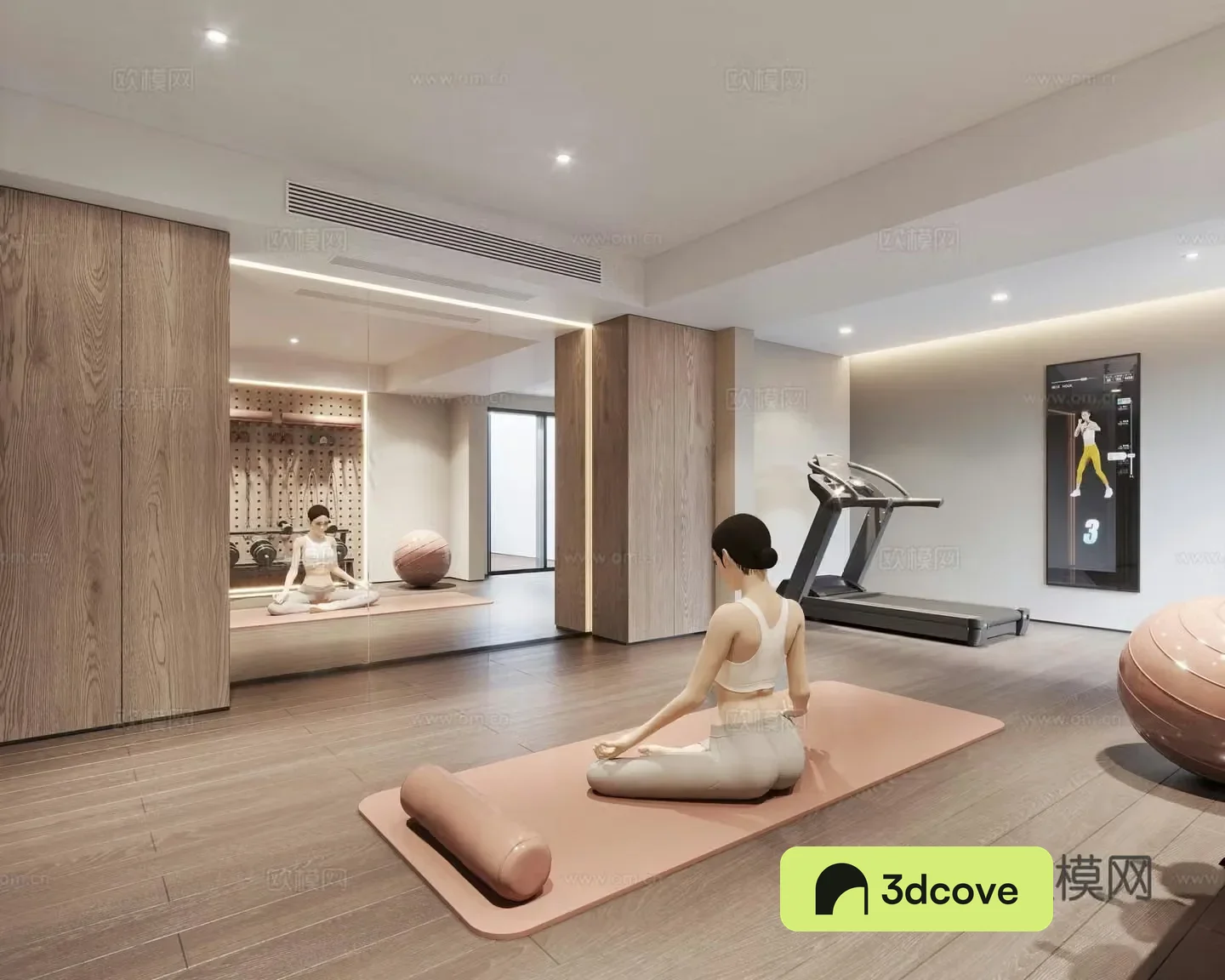 Modern light luxury gym yoga room