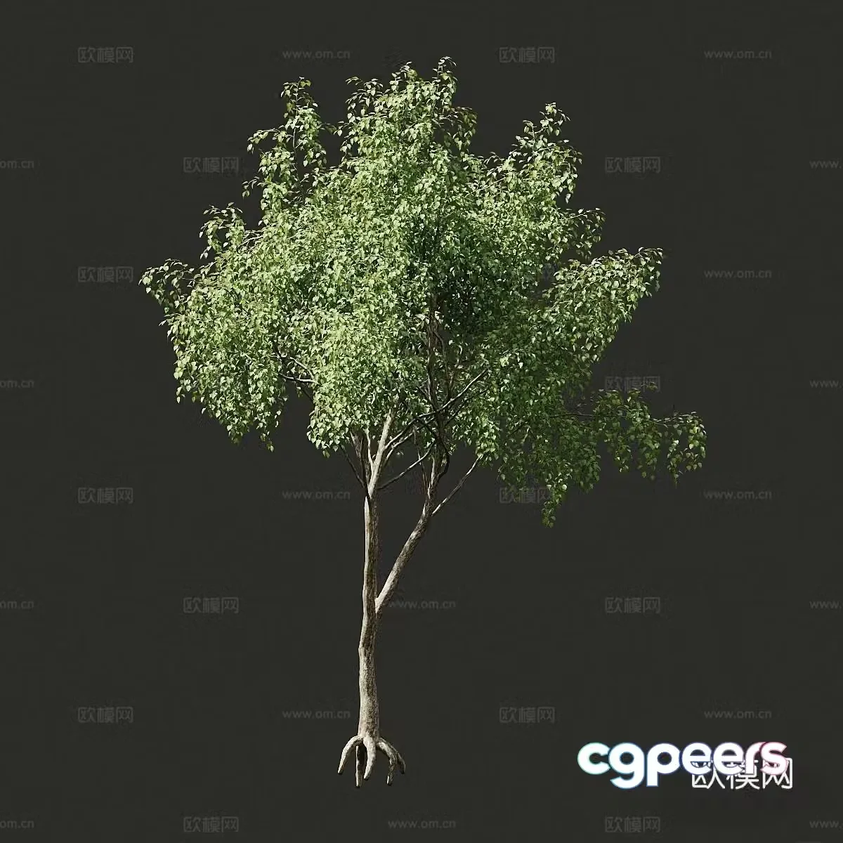 Modern landscape tree road tree street tree arbor big tree 3d model