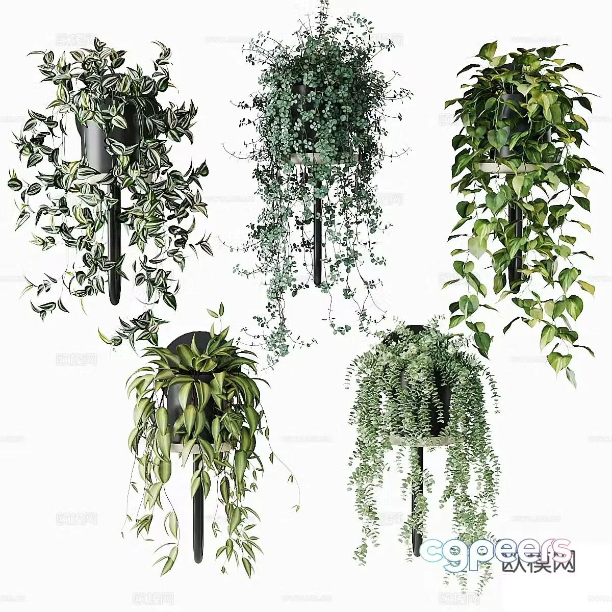 3D model of hanging basket