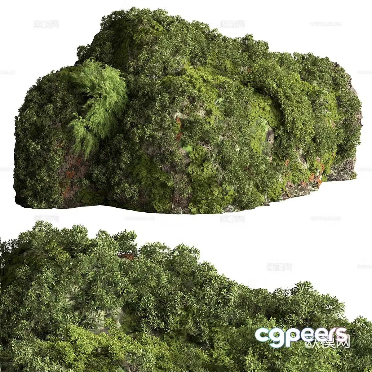 3d model of moss on stone
