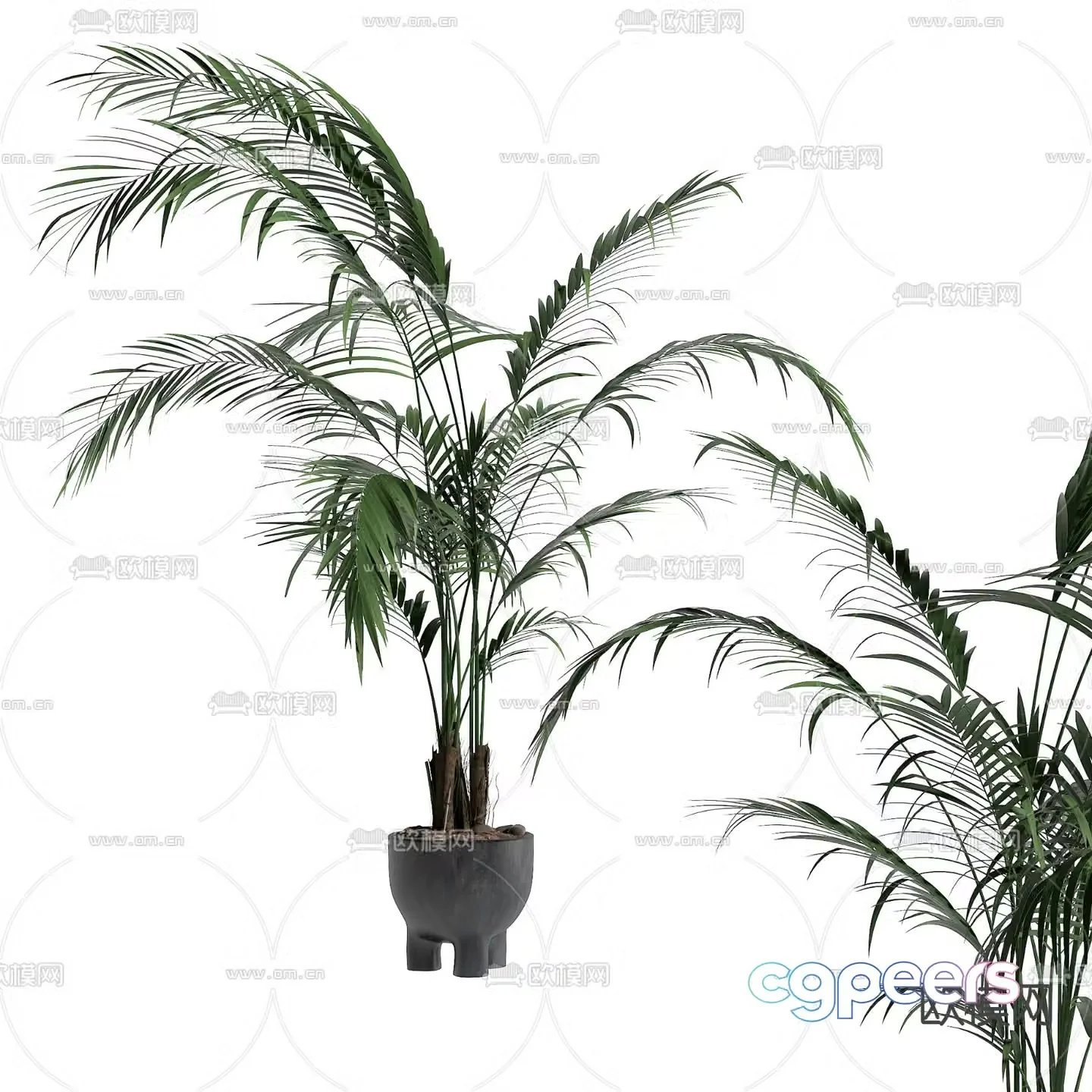 Green plants plant potted plants 3D model