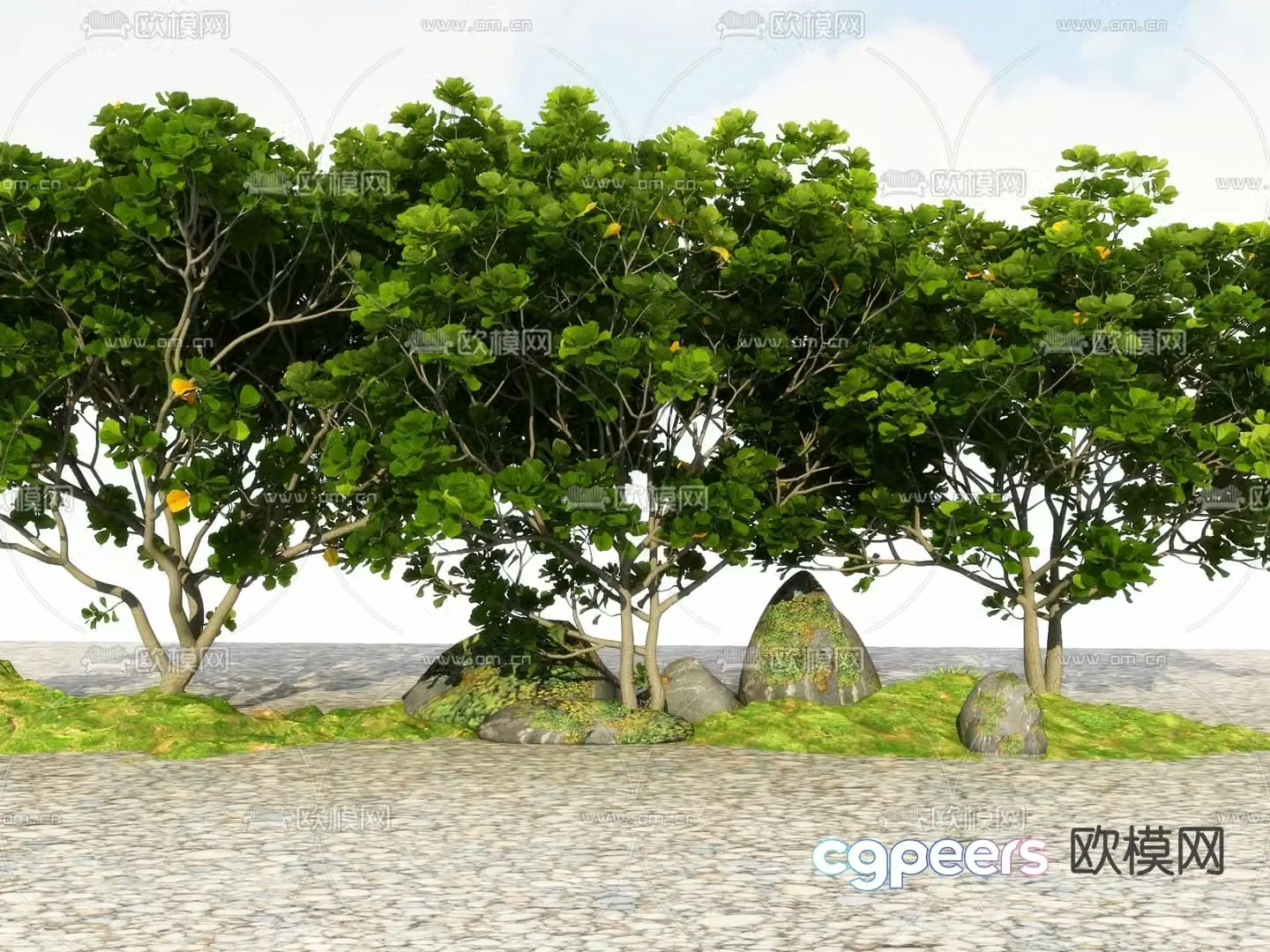 Big tree Landscape tree Street tree 3d model