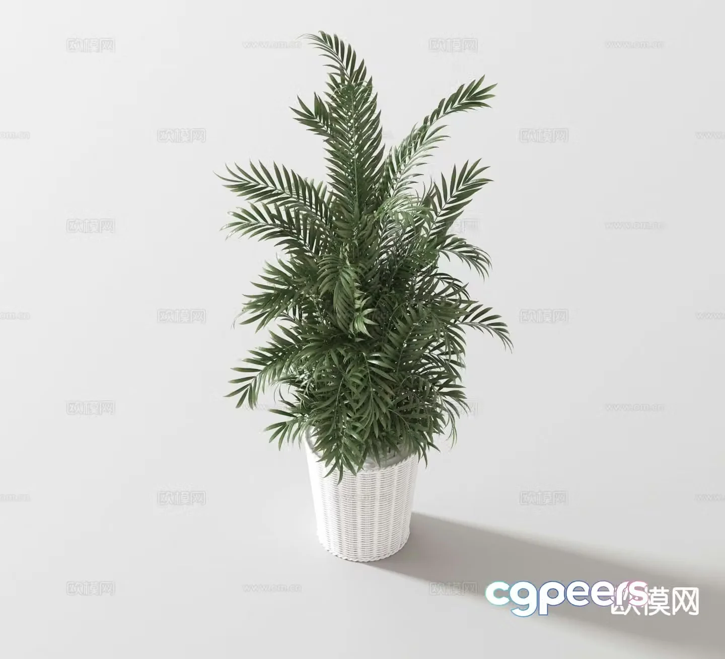 Modern green plant potted bonsai 3d model