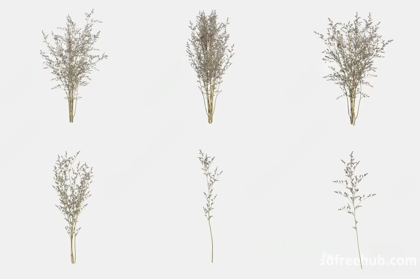 A Collection Of Dried Flowers 3D Model – 23566 – VRAY Render