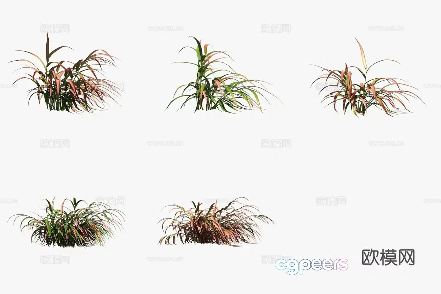 3D model of red belligera flowers and plants