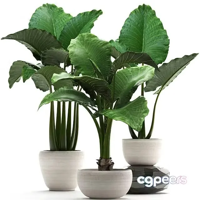 3ds Max Free – Plant collection 263