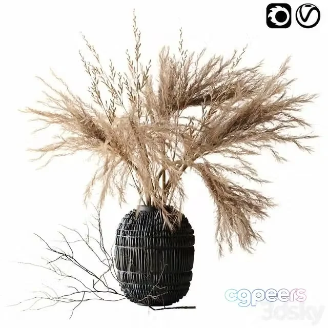 3ds Max Free – Brown pampas