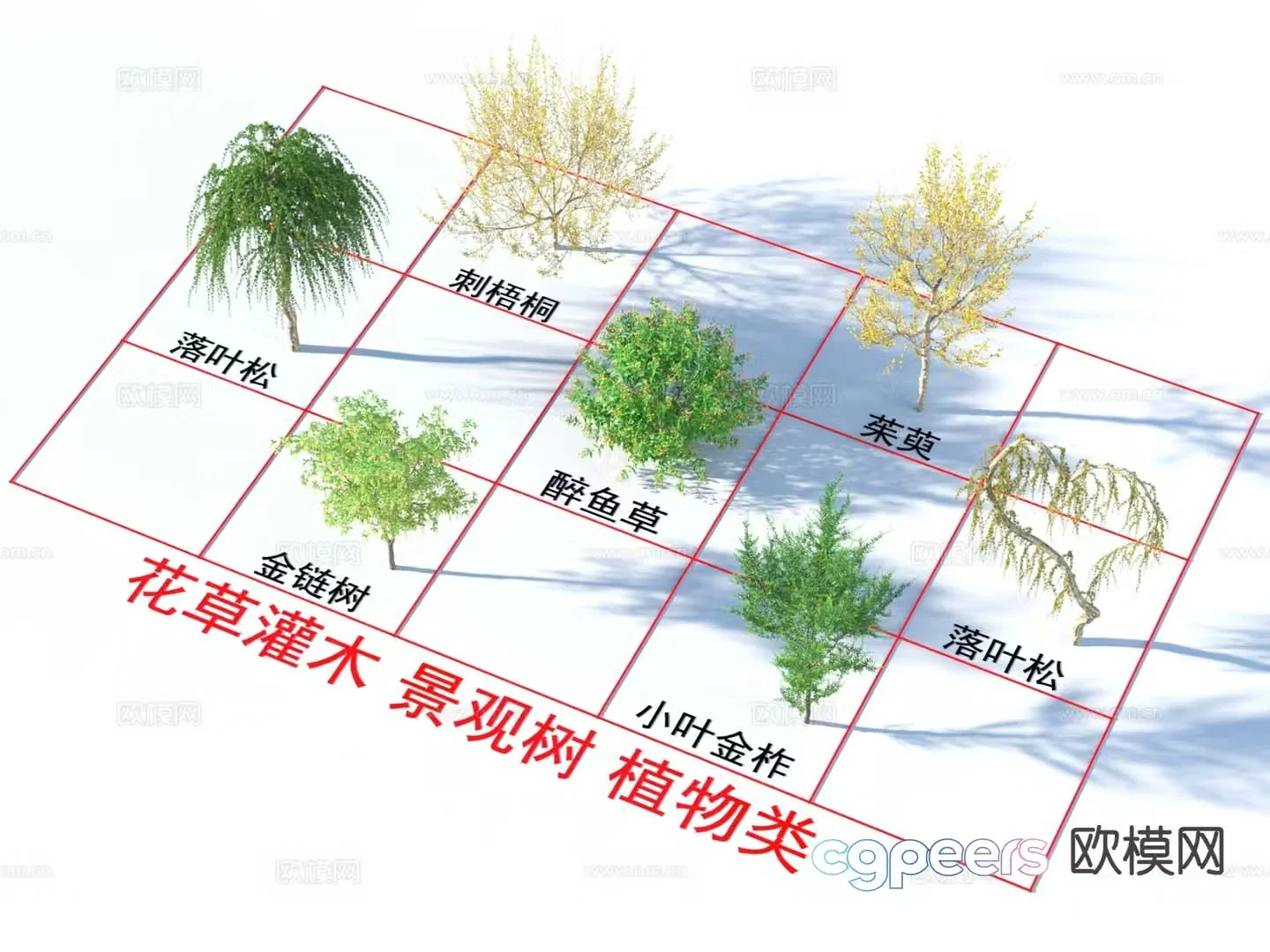 Dogwood Drunk Rhinoceros Larch Golden Chain Tree Small Leaf Golden Oak 3D Model