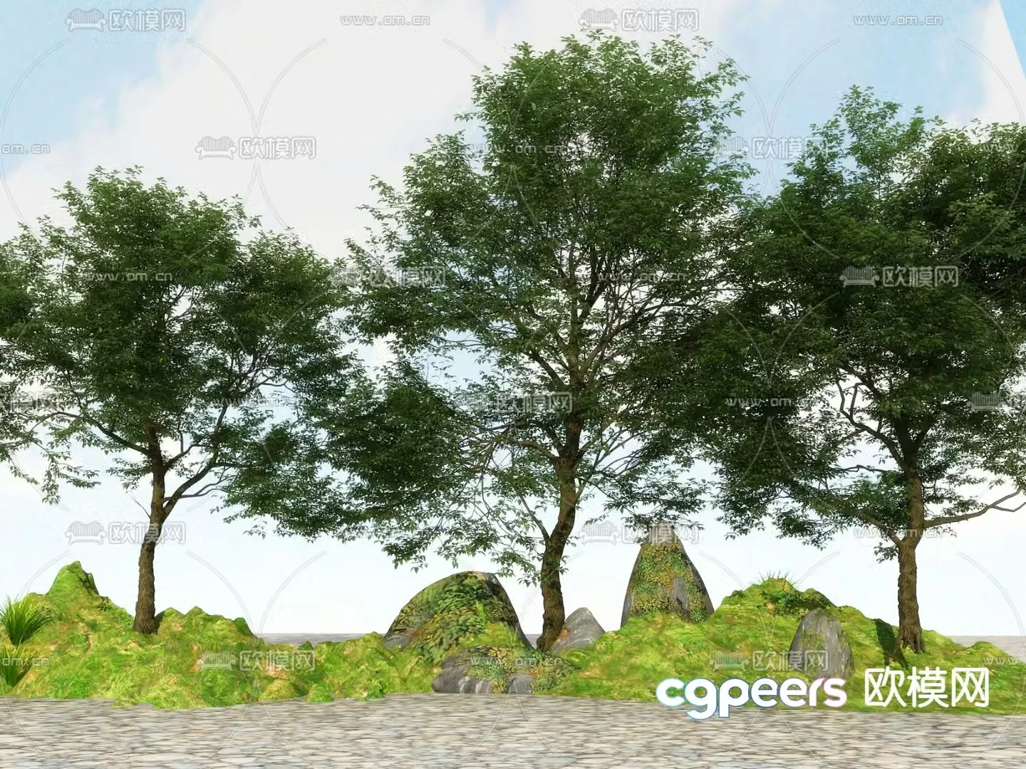 Big tree Landscape tree Street tree 3d model