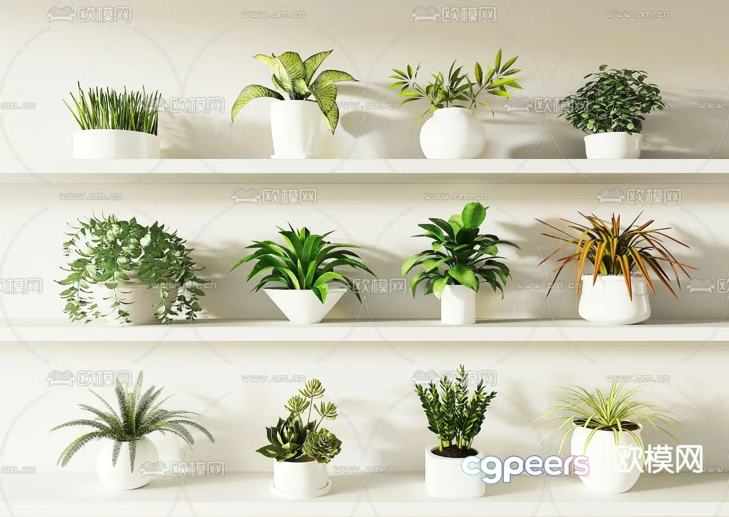 Modern plant potted 3D model