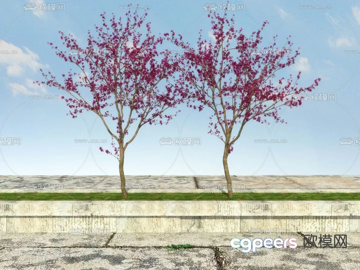 Big tree Flower tree Landscape tree 3d model