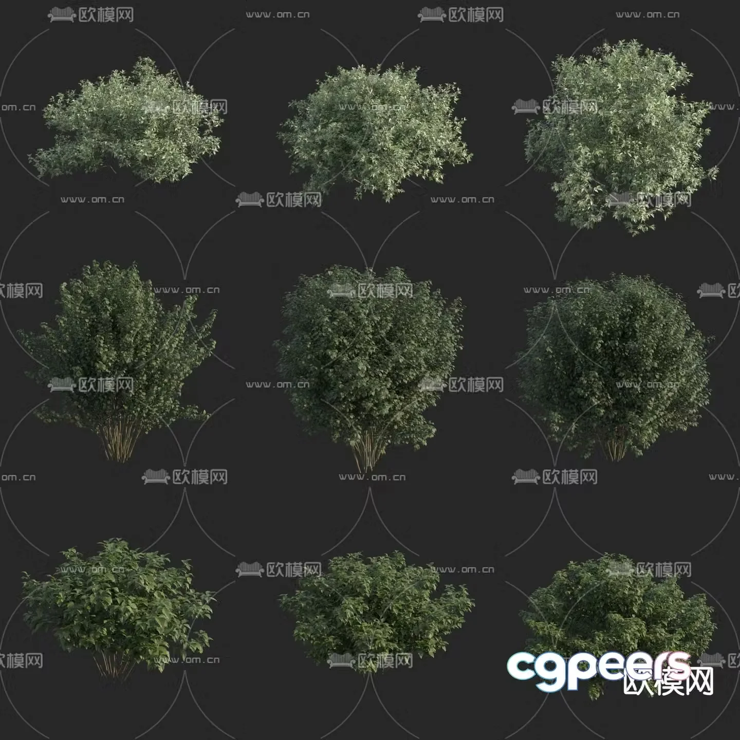 shrub green plant plant 3d model