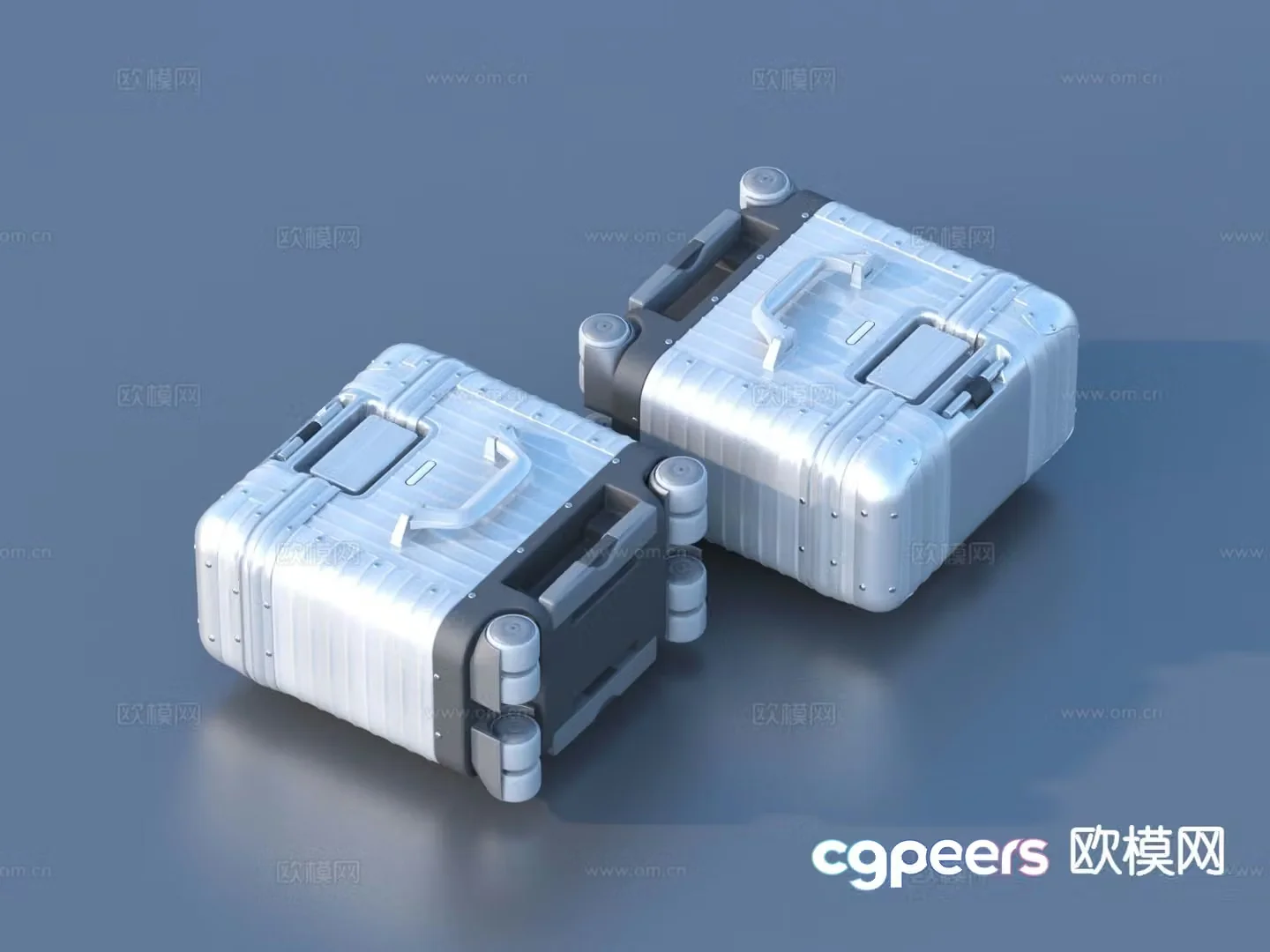 Luggage storage box flight case 3d model