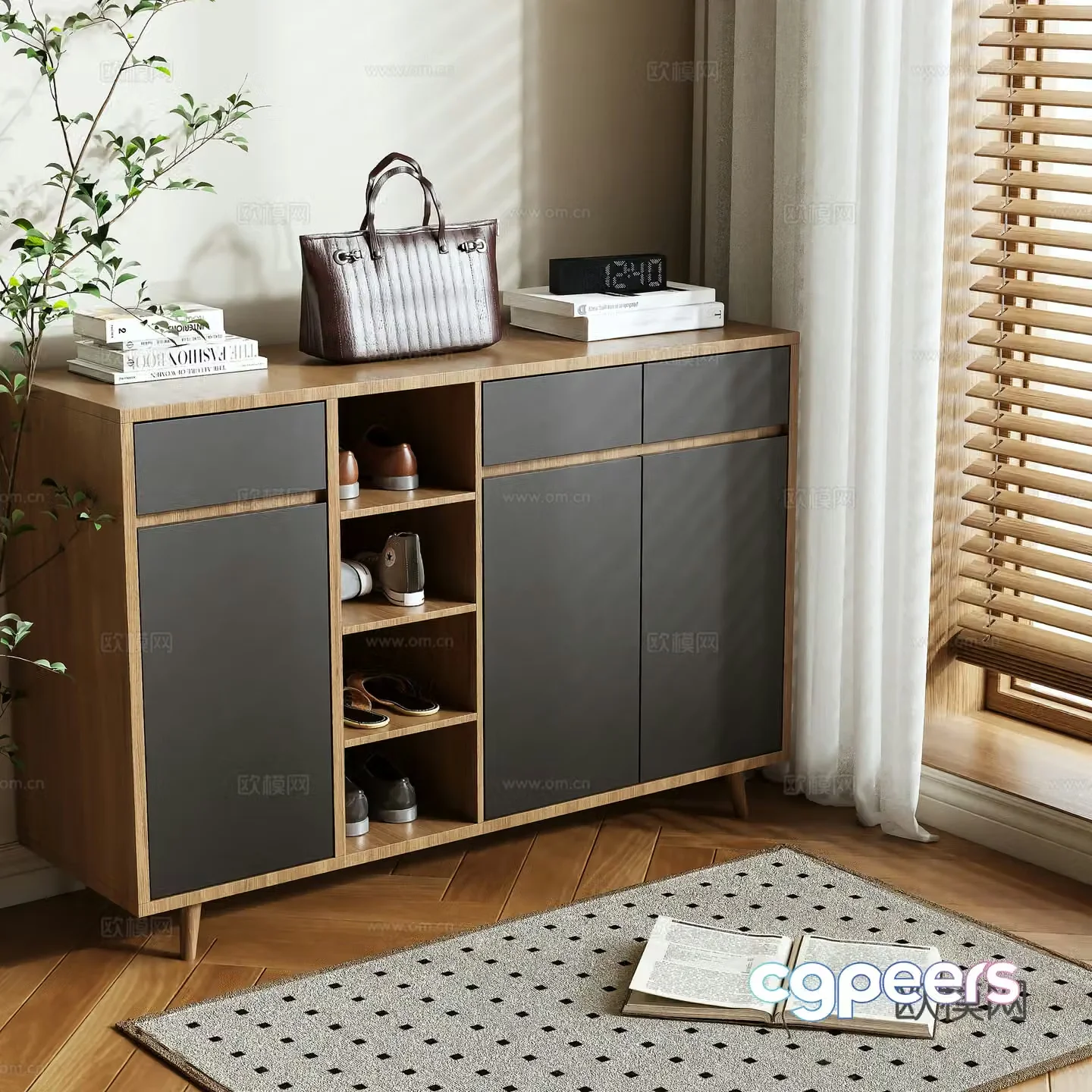 Shoe cabinet 3d model