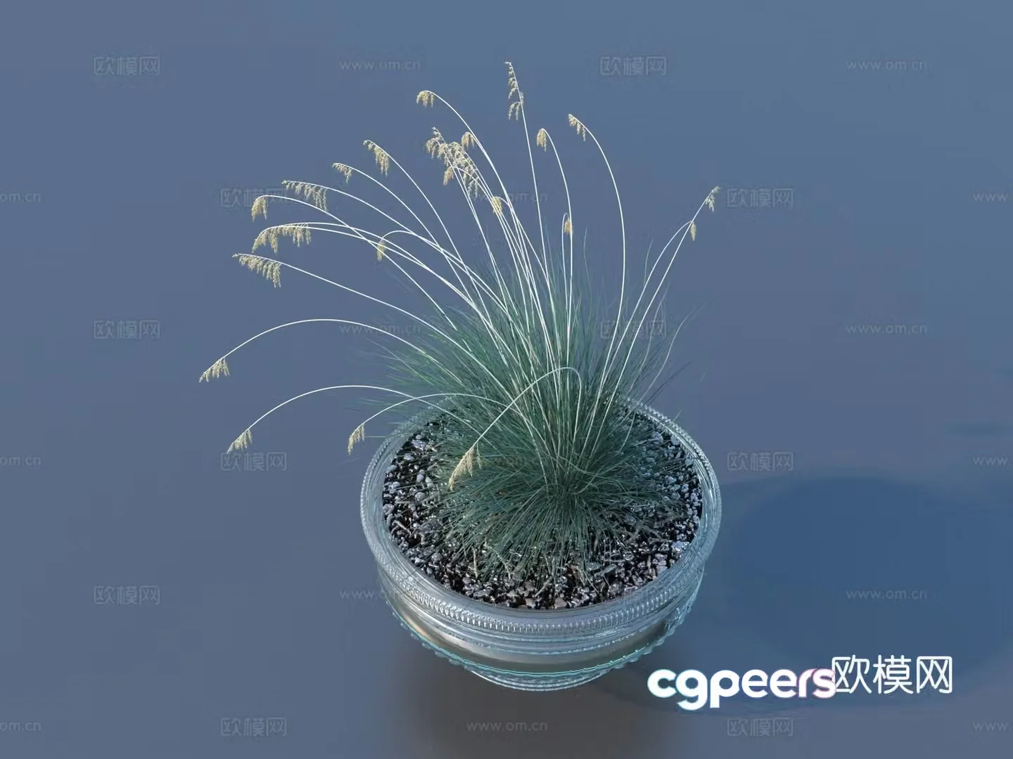 Flower pot pot green plants plant 3d model