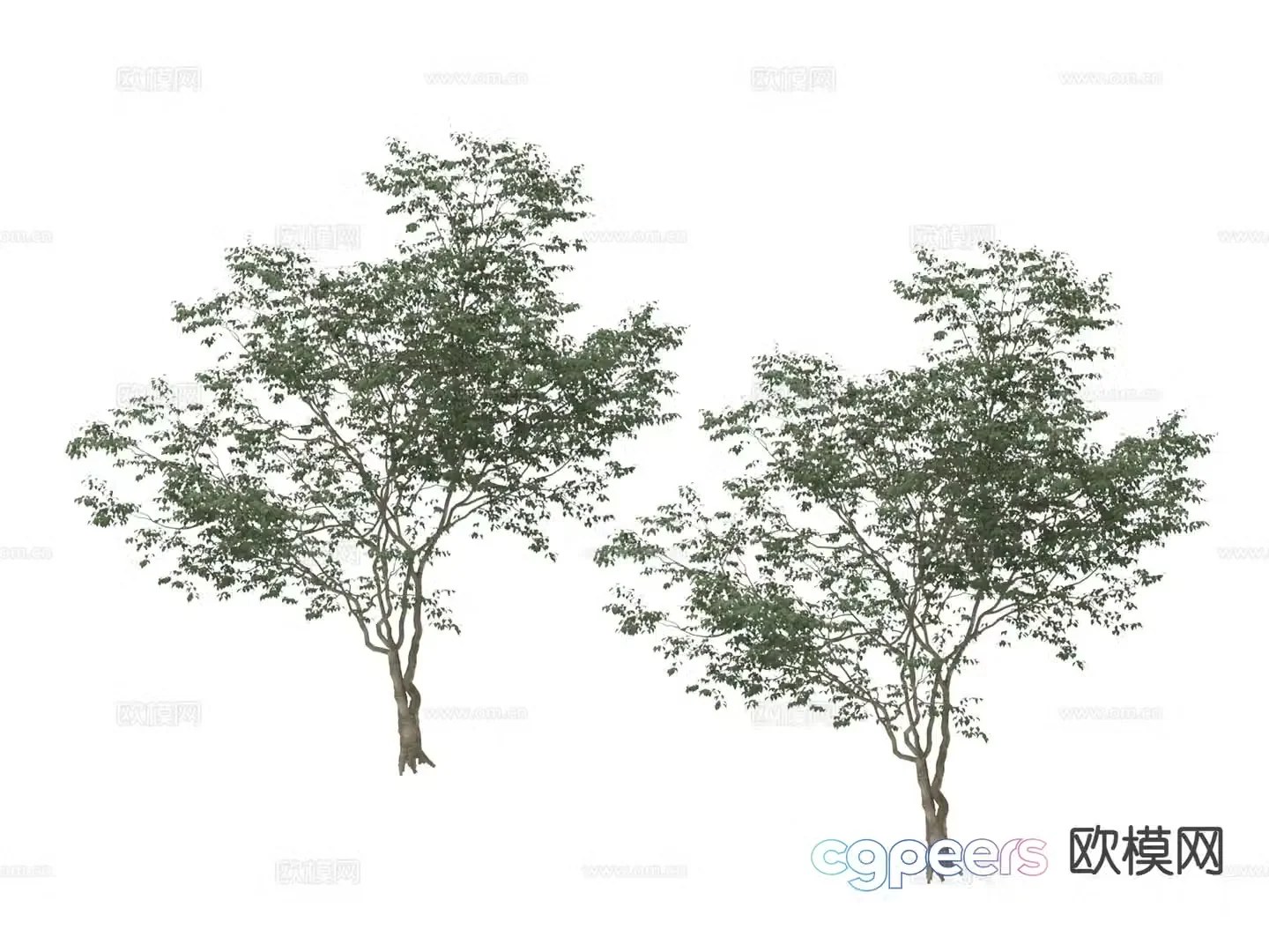 Landscape tree big tree arbor 3d model