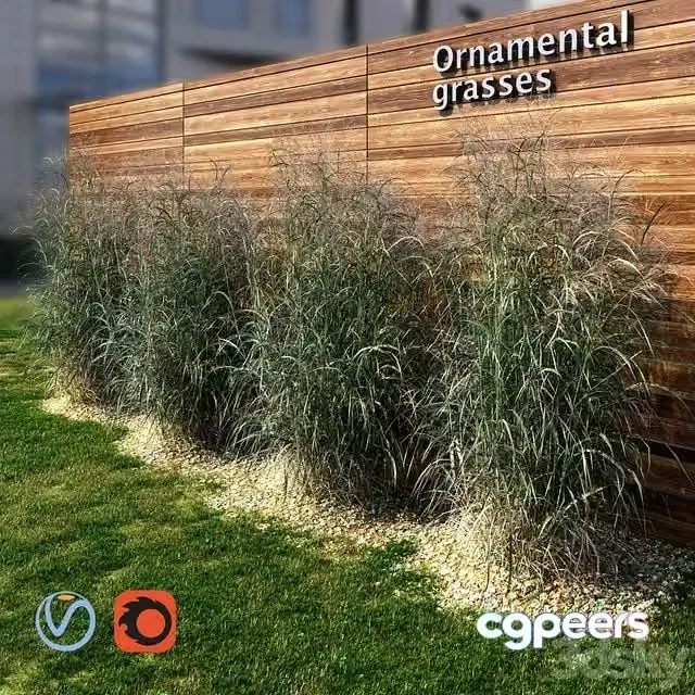 3ds Max Free – Ornamental grass red-green