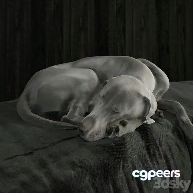 3ds Max Free – Gert dog