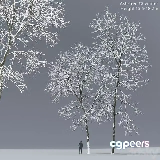 3ds Max Free – Winter Ash 10