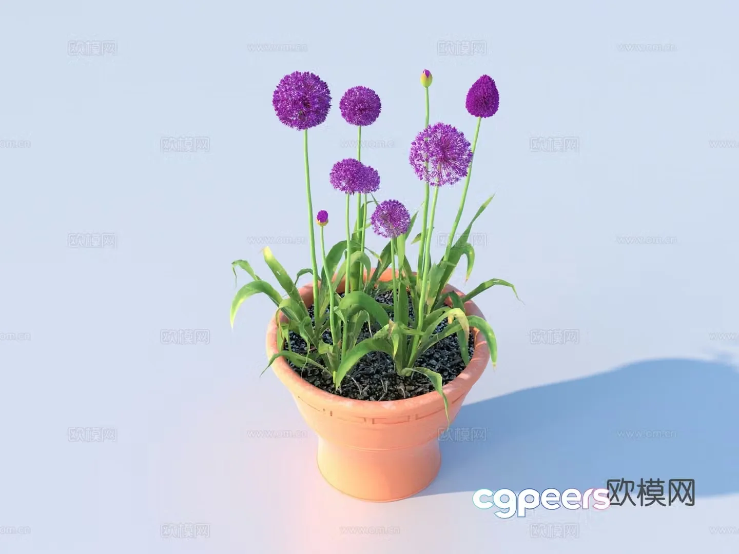 flowerpot potted plant green plant plant 3d model