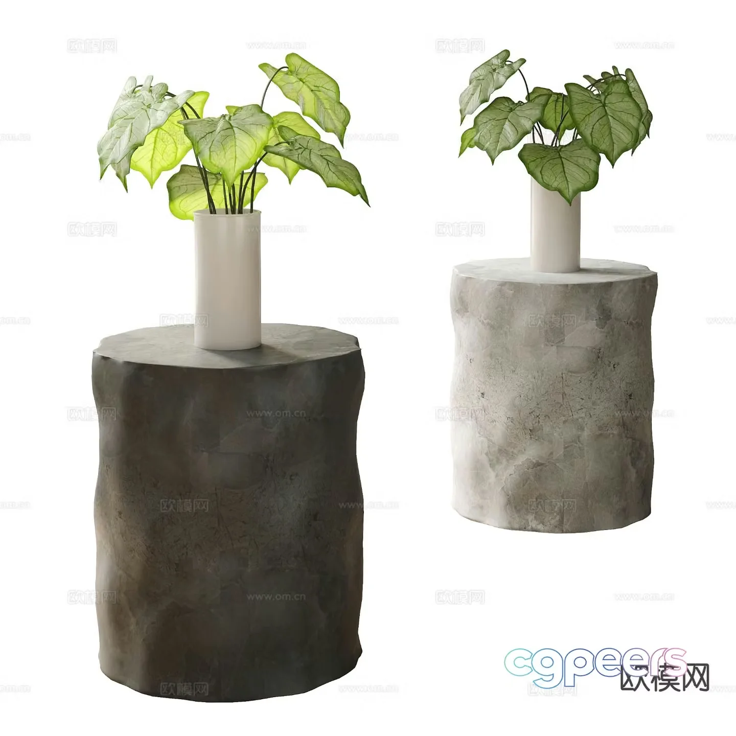 Modern hydroponic green plants Aquatic plants 3D model