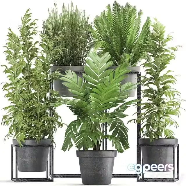 3ds Max Free – Plant collection 317