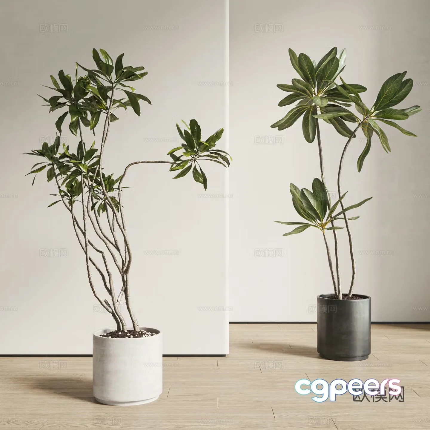 Modern plant potted plants green plants floor-to-bottomed potted plants 3D model