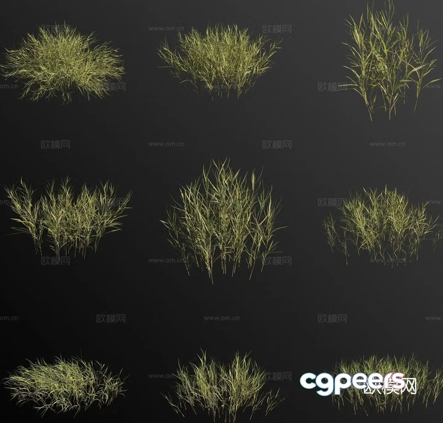 Golden grass flower 3d model