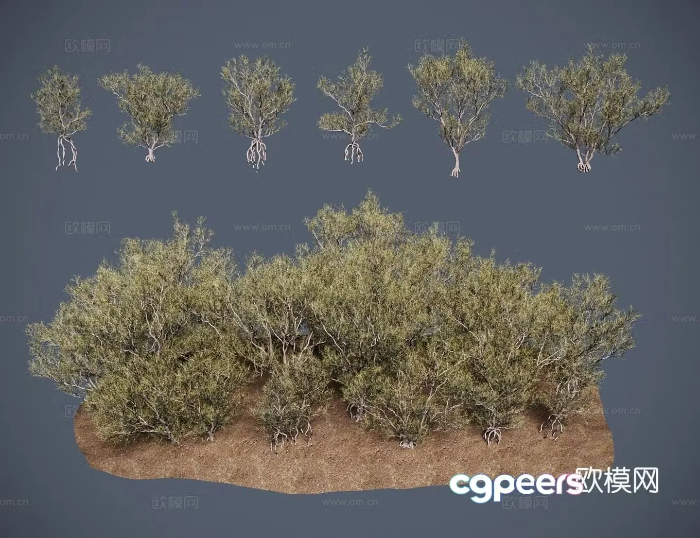 Modern shrubs Halaxy tree salt wood saxy saxy firewood 3D model