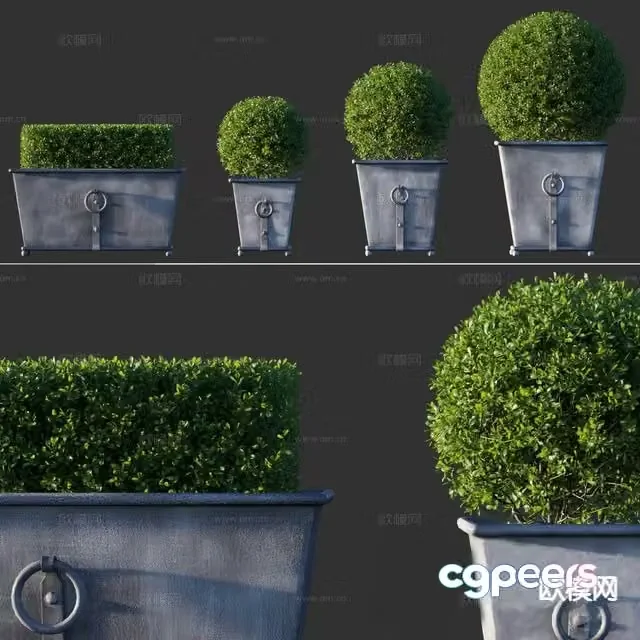 Modern Bonsai Bonsai 3d model