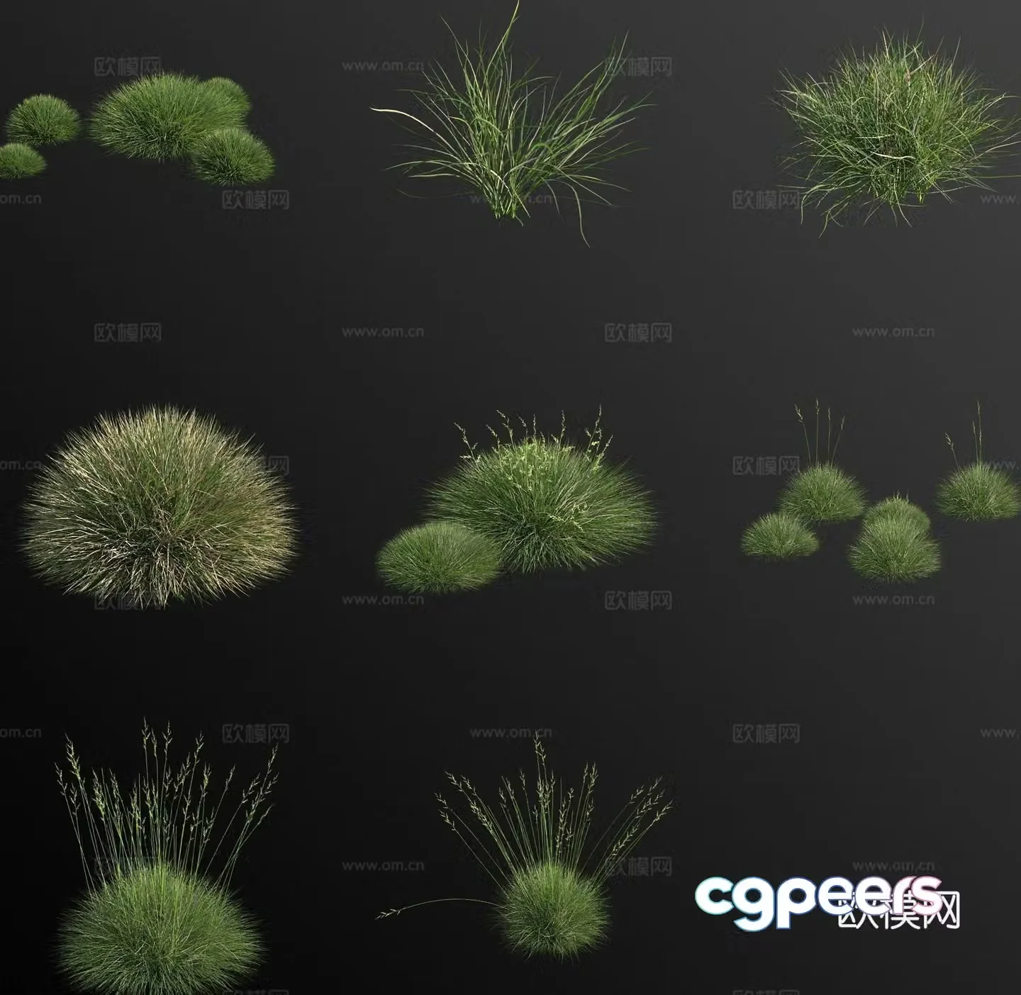 European bluebell flower 3d model