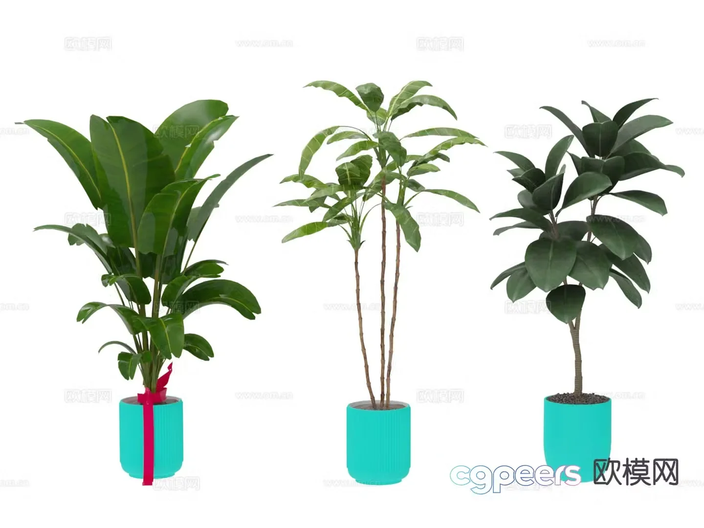 Green plants potted 3d model