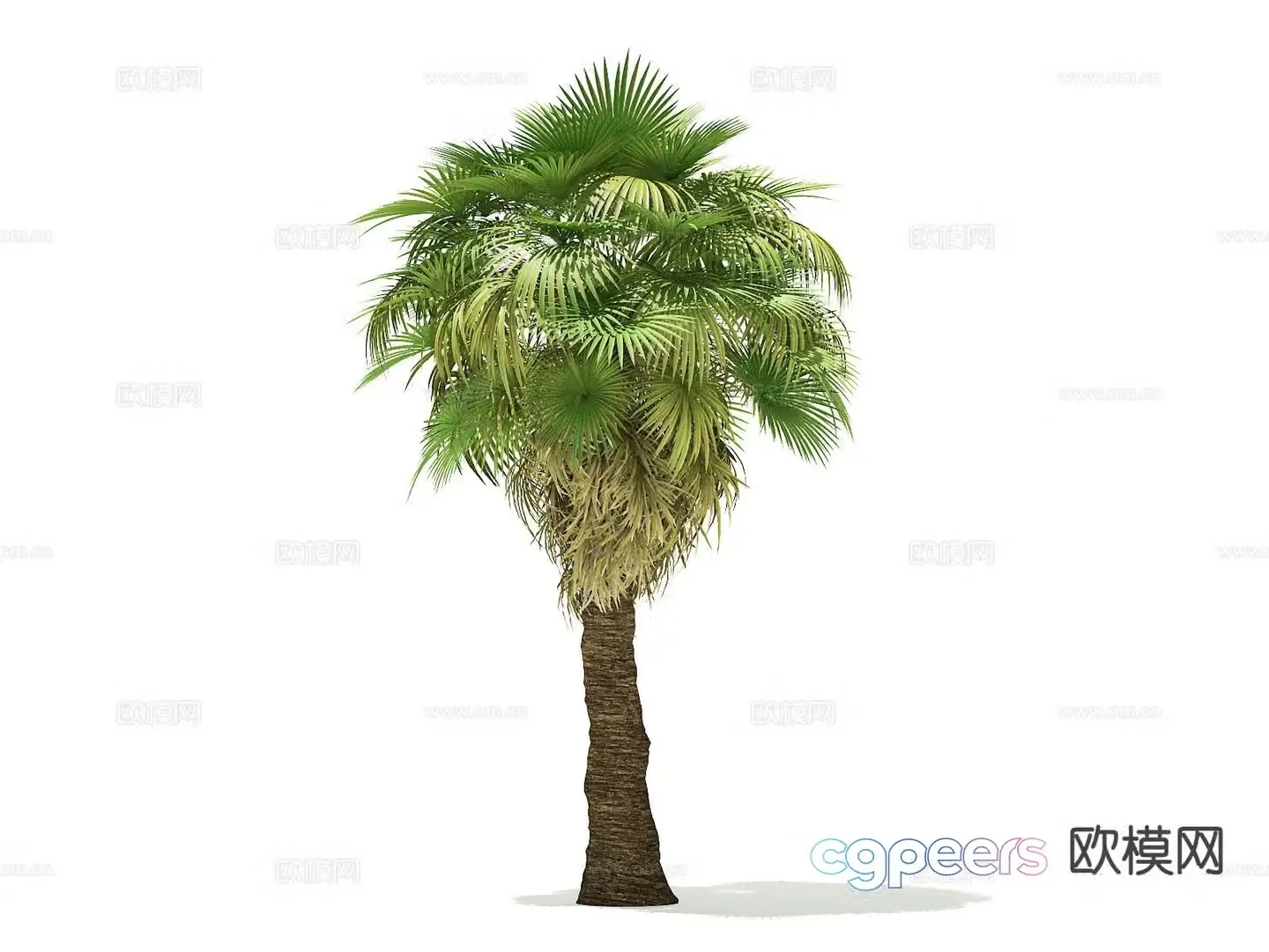 Landscape tree Palm tree Walking tree Tree Tropical tree 3d model