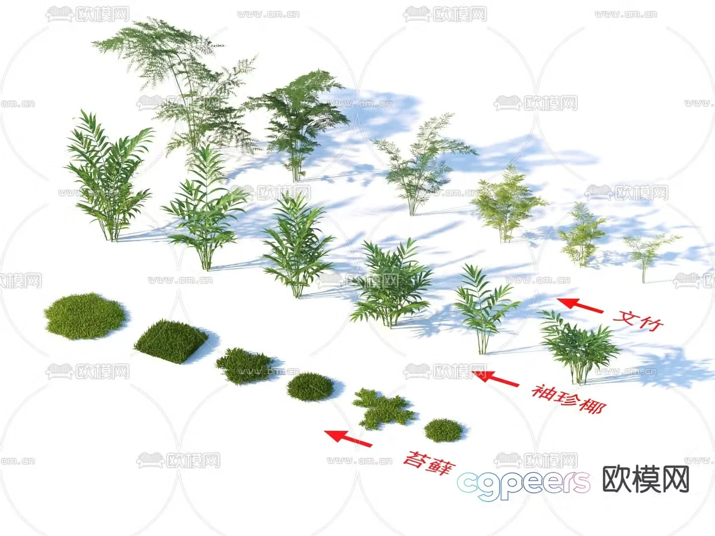 Moss bamboo pocket coconut shrub flowers and plants 3D model