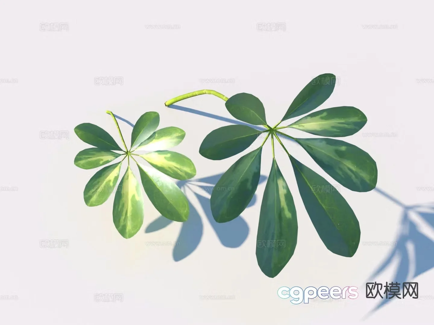 Plants flowers and plants leaves 3d model
