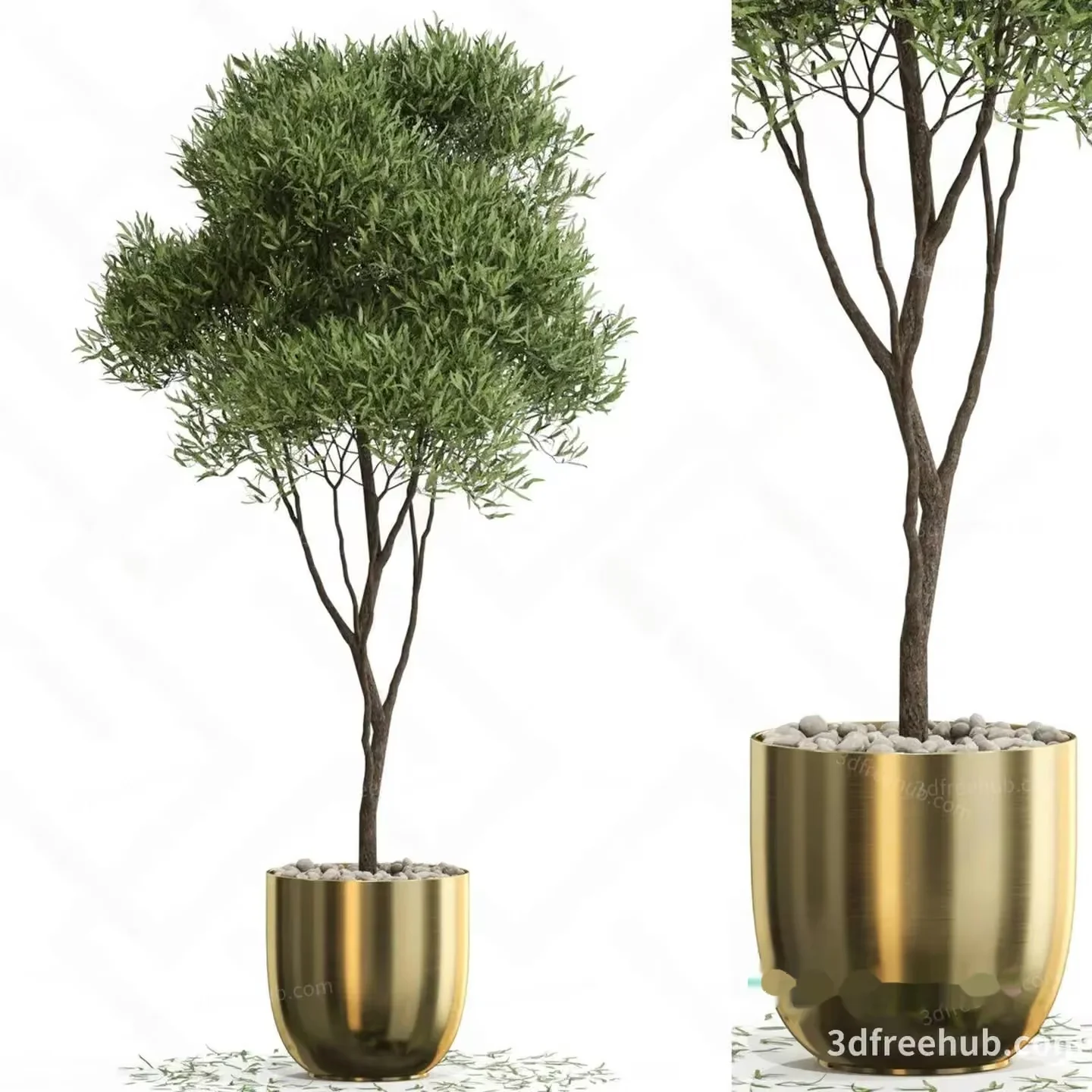 A 3D Model Of A Potted Plant 3D Model – 23479 – VRAY Render