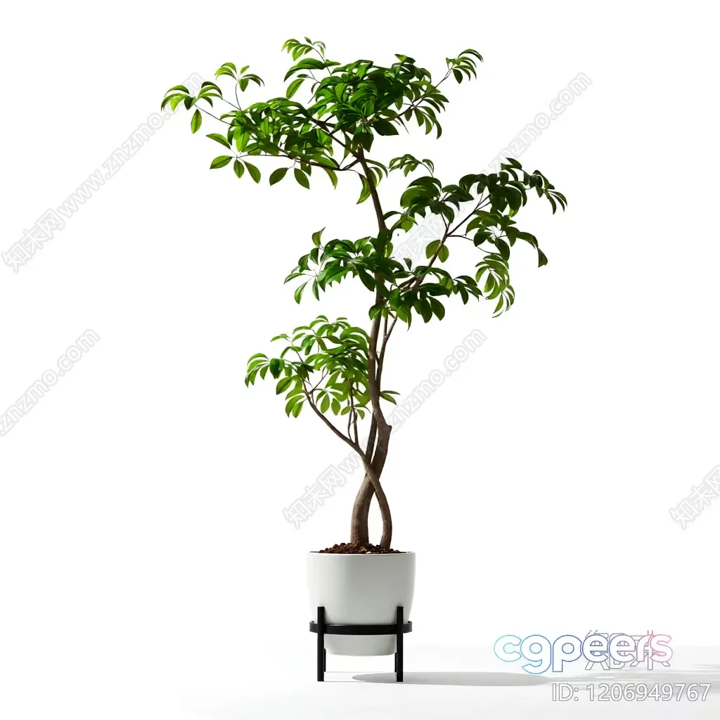 A Potted Plant 3D Model – 8659 – VRAY Render