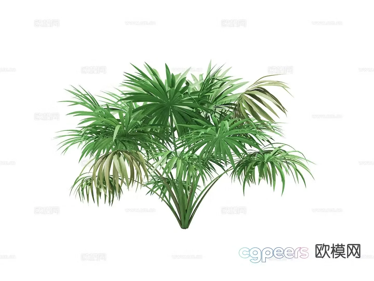 Flowers and plants outdoor green plants shrub 3d model