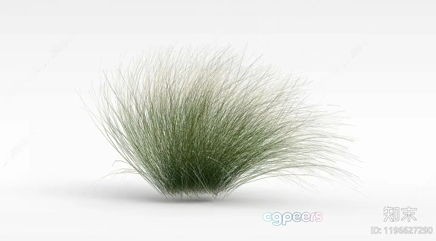 A Tuft Of Green Grass 3D Model – 11777 – VRAY Render