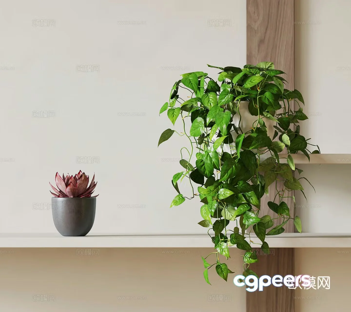 Green Plants Hanging Basket Succulent Potted Plants Pothos 3D Model