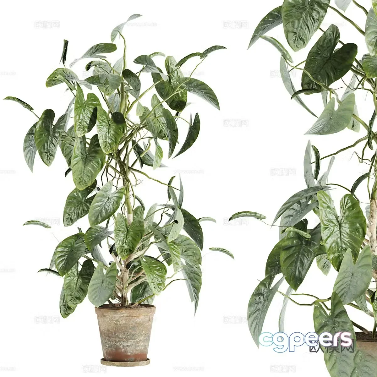 New Chinese style wabi sabi pot plant 3D model