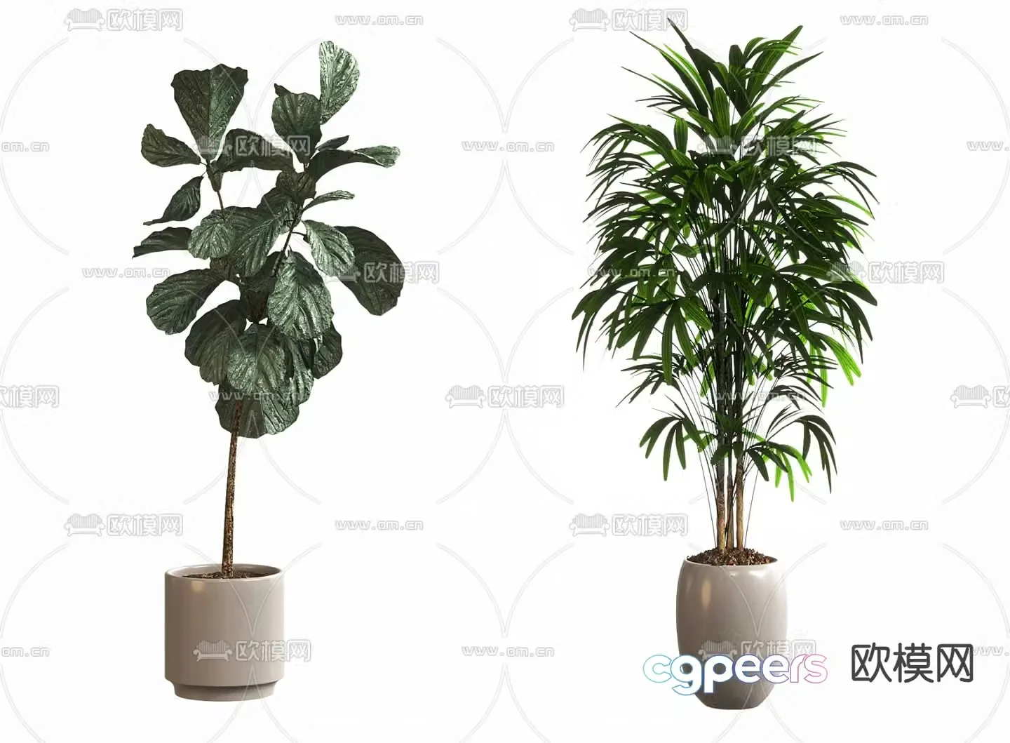 Bonsai Pot Plant Green Plant 3D Model